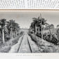 1898 COMMERCIAL CUBA by WILLIAM CLARK ILLUSTRATED SIGNED by AUTHOR ! antique