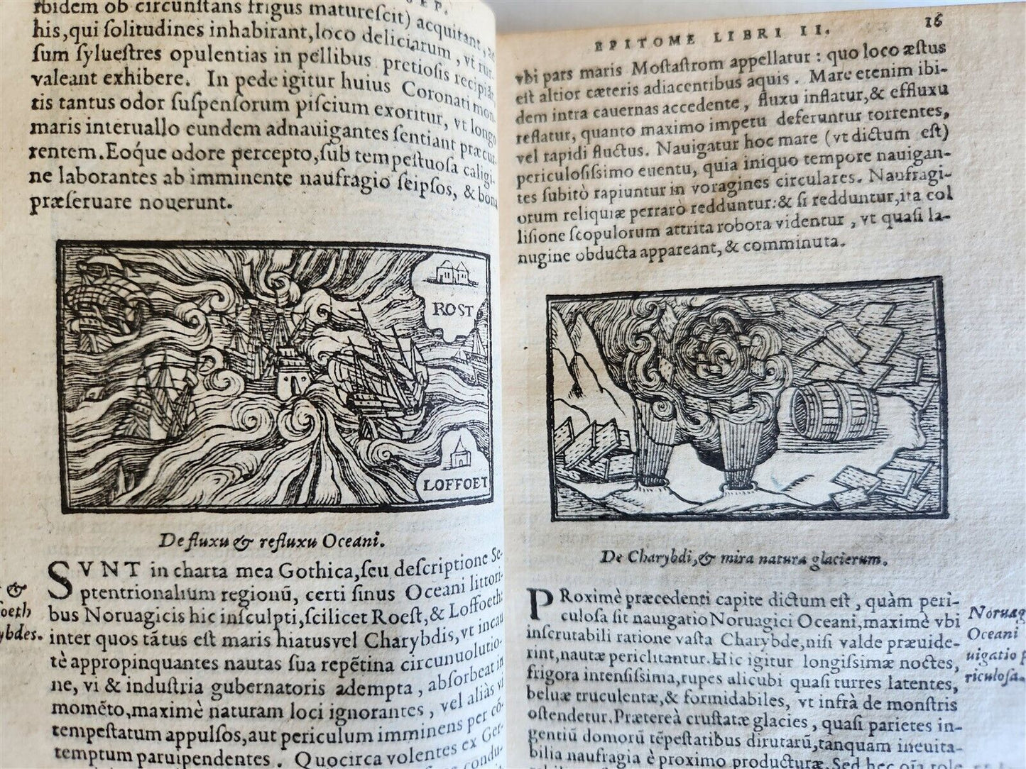 1558 ILLUSTRATED SCANDINAVIA antique Historia de Gentibus Septentrionalibus RARE