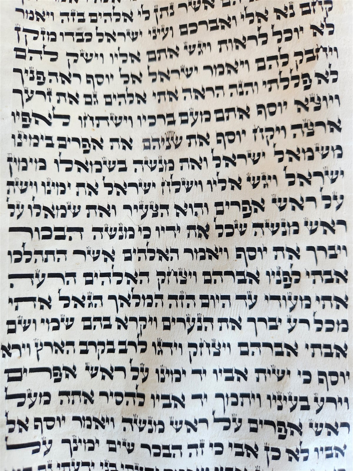 TORAH SCROLL FRAGMENT MANUSCRIPT on VELLUM antique BIBLE DEUTERONOMY 11:4-13:12