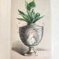 1871 FLOWER EMBLEMS ILLUSTRATED antique in ENGLISH