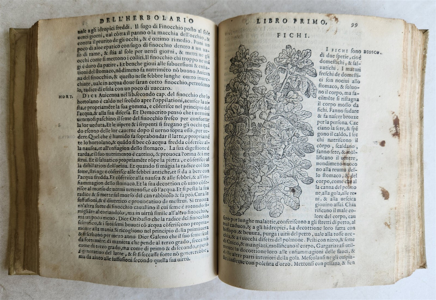 1561 PHARMACOPEIA ILLUSTRATED MEDICAL PLANTS by SANSOVINO antique 16th CENTURY
