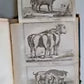 1802 PROCREATING SEXES at WILL HUMAN PHYSIOLOGICAL HISTORY ILLUSTRATED antique