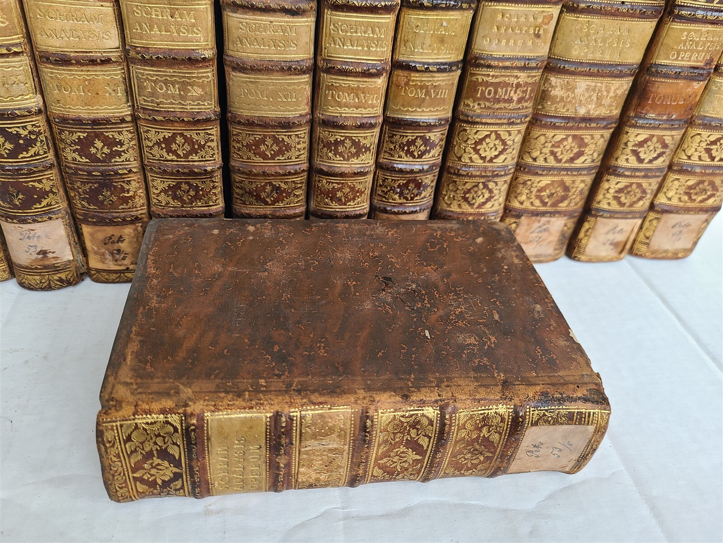 1780-89 THEOLOGY by DOMINICI SCHRAM 12 VOLUMES ILLUSTRATED antique DECORATIVE