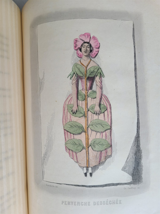 1847 FLOWERS PERSONIFIED antique ILLUSTRATED w/ 23 PLATES Les fleurs animees