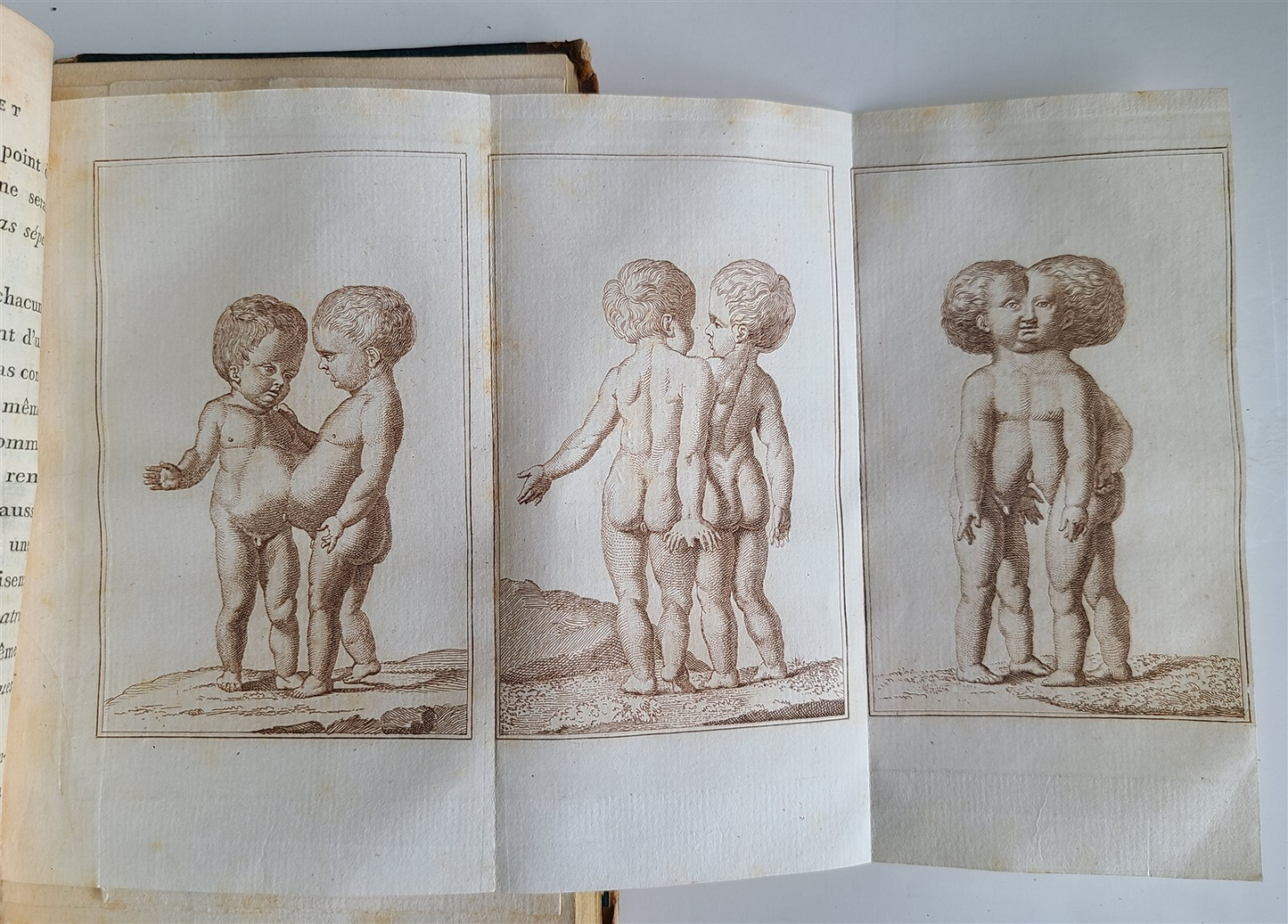 1802 PROCREATING SEXES at WILL HUMAN PHYSIOLOGICAL HISTORY ILLUSTRATED antique