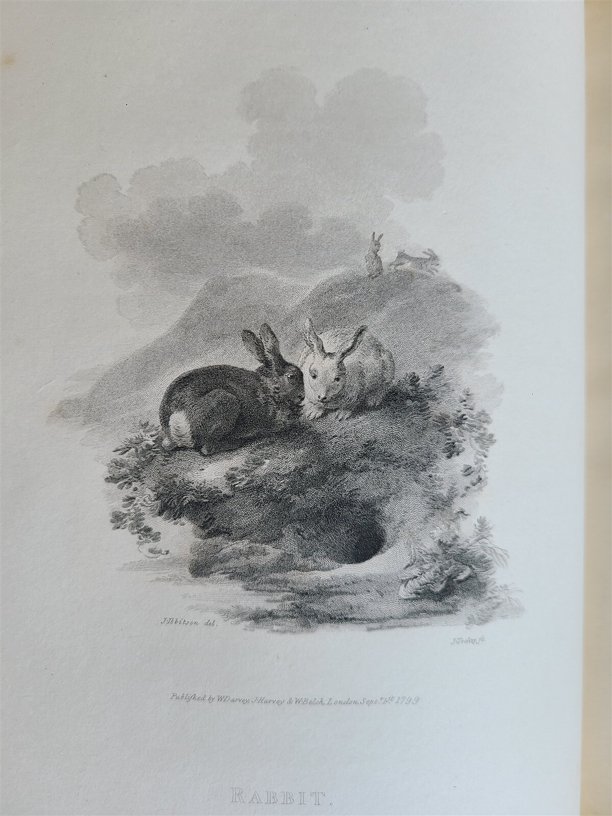 1805 CABINET of QUADRUPEDS ILLUSTRATED 2 FOLIO VOLUMES antique in ENGLISH