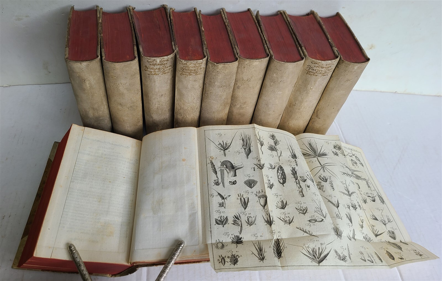 1777 COMPLETE PLANT SYSTEM 10 VOLUMES ILLUSTRATED w/ 75 PLATES antique BOTANY