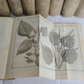 1777 COMPLETE PLANT SYSTEM 10 VOLUMES ILLUSTRATED w/ 75 PLATES antique BOTANY