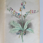 1847 FLOWERS PERSONIFIED antique ILLUSTRATED w/ 23 PLATES Les fleurs animees