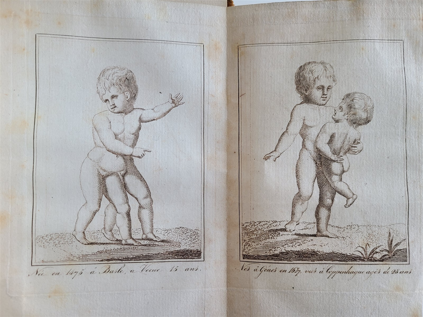 1802 PROCREATING SEXES at WILL HUMAN PHYSIOLOGICAL HISTORY ILLUSTRATED antique