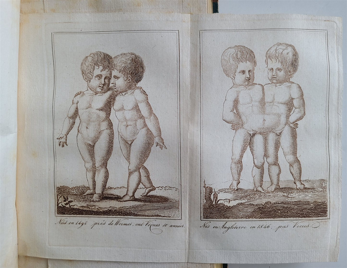 1802 PROCREATING SEXES at WILL HUMAN PHYSIOLOGICAL HISTORY ILLUSTRATED antique