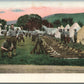AMERICAN ARMY SOLDIERS AT CAMP ANTIQUE POSTCARD