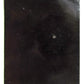 GROUP OF LADIES w/ DOG TINTYPE VICTORIAN PHOTO antique