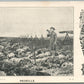 AMERICAN WWI ERA US ARMY REVEILLE ANTIQUE POSTCARD GREETINGS FROM CAMP