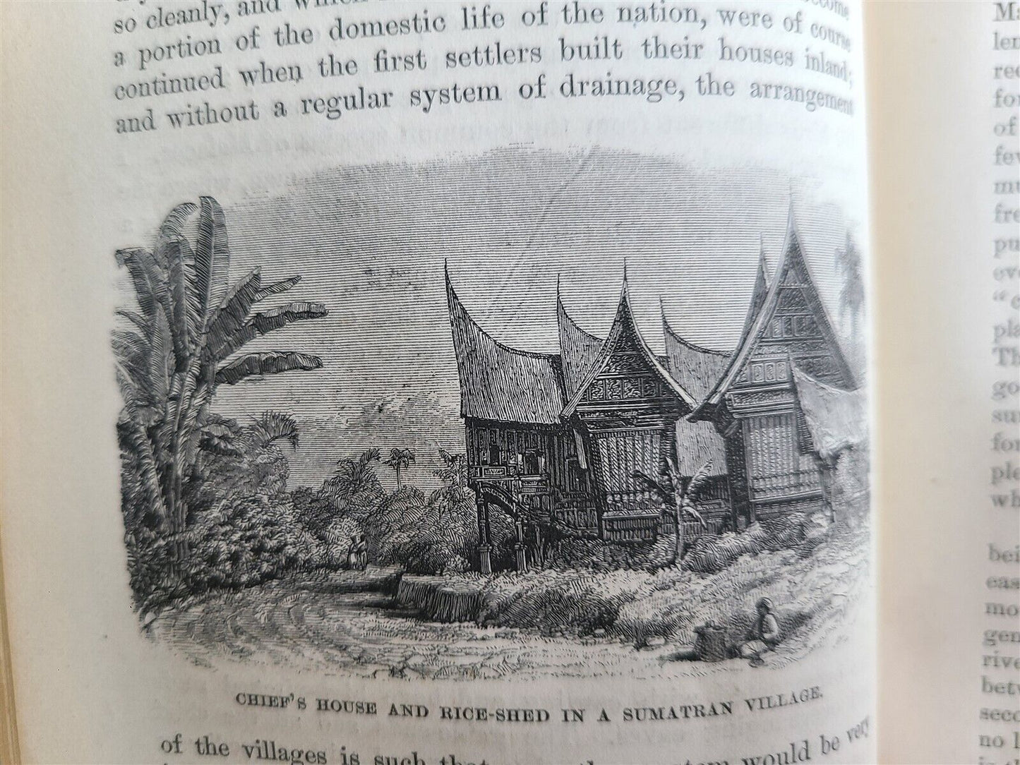 1869 MALAY ARCHIPELAGO by A.WALLACE antique illustrated w /MAPS 1st US EDITION