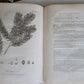 1786 SILVA: DISCOURSE OF FOREST TREES 2 VOLUMES ILLUSTRATED antique in ENGLISH