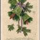 JOYFUL CHRISTMAS JOHN WINSCH ANTIQUE POSTCARD