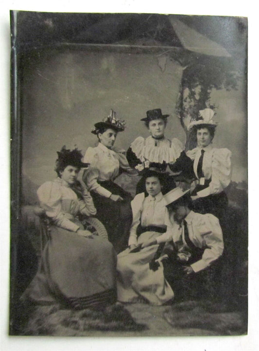 GROUP OF LADIES w/ DOG TINTYPE VICTORIAN PHOTO antique