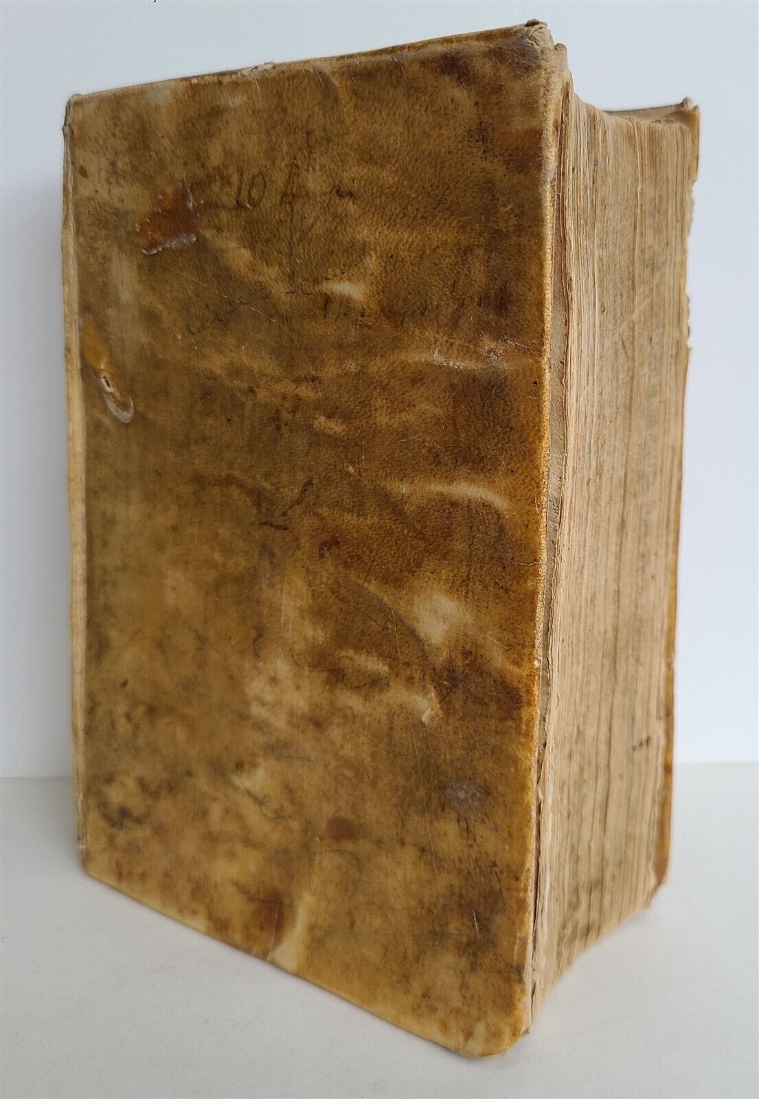 1648 BIBLE ILLUSTRATED in LATIN antique VELLUM BOUND BIBLIA SACRA