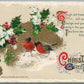 CHRISTMAS GREETINGS JOHN WINSCH 1911 ANTIQUE POSTCARD w/ BIRDS