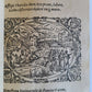 1571 PICTURE BIBLE antique ILLUSTRATED w/ 200 WOODCUTS by JOST AMMAN RARE 16th C