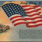 VERNFIELD PA FLAG POST CARD SERIES SAMPLE AMERICAN MILITARY ANTIQUE POSTCARD