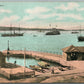 FARM COVE SYDNEY AUSTRALIA PORT SHIPS ANTIQUE POSTCARD