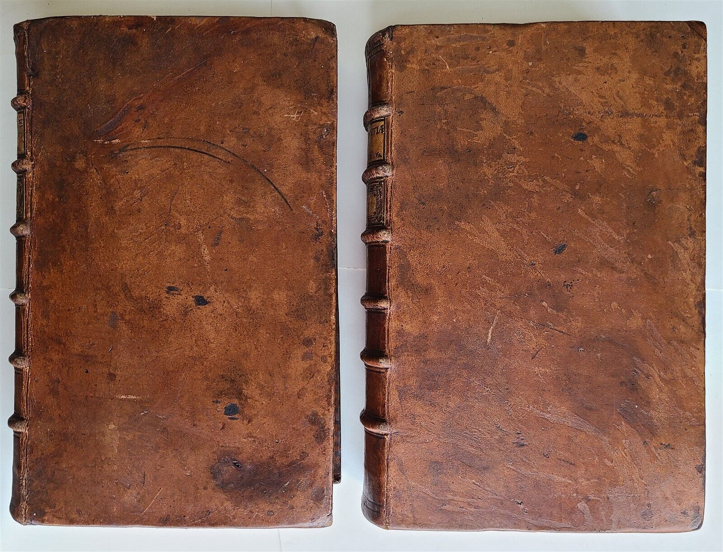 1733 BIBLE CONCORDANCE 2 volumes in LATIN antique MASSIVE FOLIO