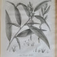 1786 SILVA: DISCOURSE OF FOREST TREES 2 VOLUMES ILLUSTRATED antique in ENGLISH