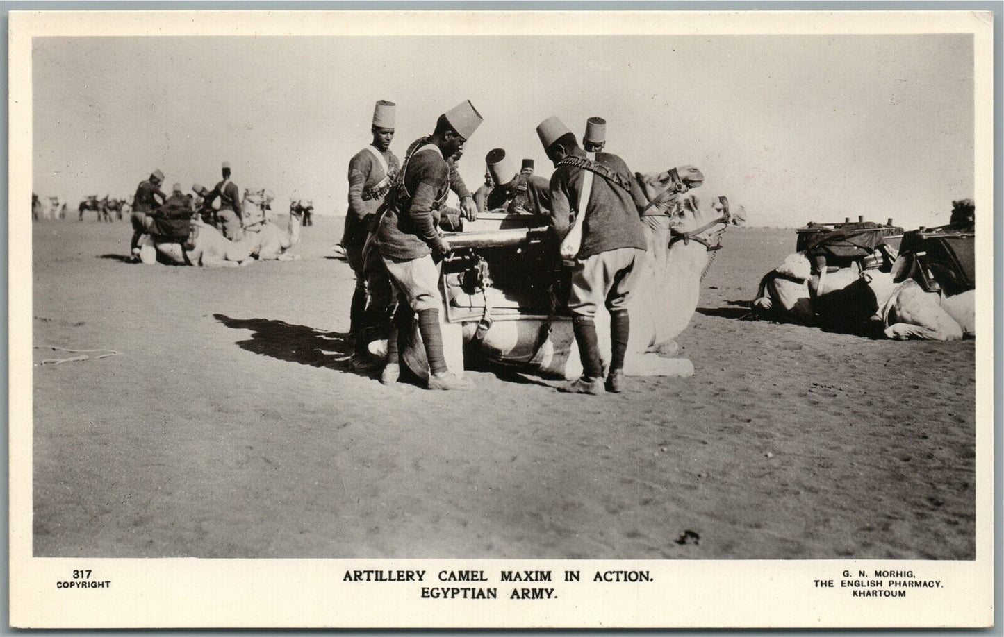 EGYPTIAN ARMY ARTILLERY CAMEL MAXIM WWI ANTIQUE REAL PHOTO POSTCARD RPPC