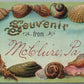 McCLURE PA SHELL BORDER ANTIQUE POSTCARD