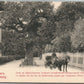 ST. PETERSBURG RUSSIA KRESTOVSKII ISLAND CZAR'S PETER I OAK ANTIQUE POSTCARD