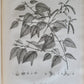 1786 SILVA: DISCOURSE OF FOREST TREES 2 VOLUMES ILLUSTRATED antique in ENGLISH
