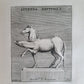 1746 ROMANUM MUSEUM SIVE THESAURUS antique ILLUSTRATED FOLIO