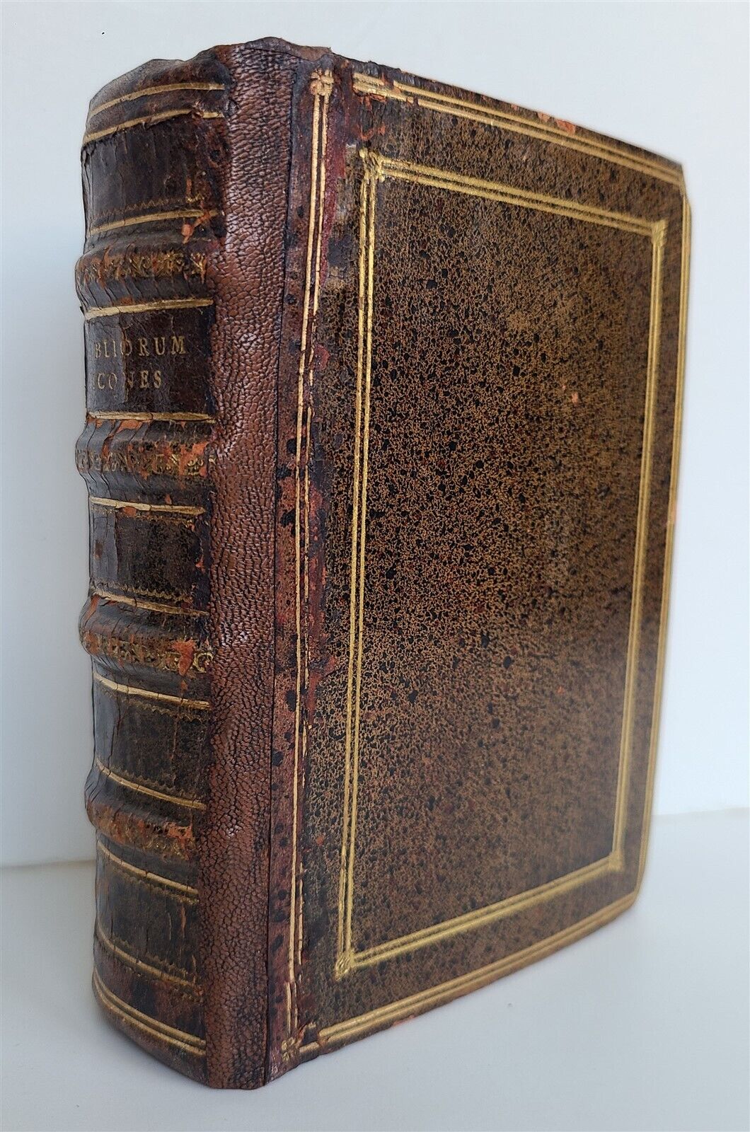 1571 PICTURE BIBLE antique ILLUSTRATED w/ 200 WOODCUTS by JOST AMMAN RARE 16th C