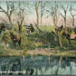 INFANTRY MACHINE GUNS ANTIQUE POSTCARD