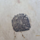 1586 LAW BOOK Tractatuum & Commentariorum de Transactionibus antique VELLUM