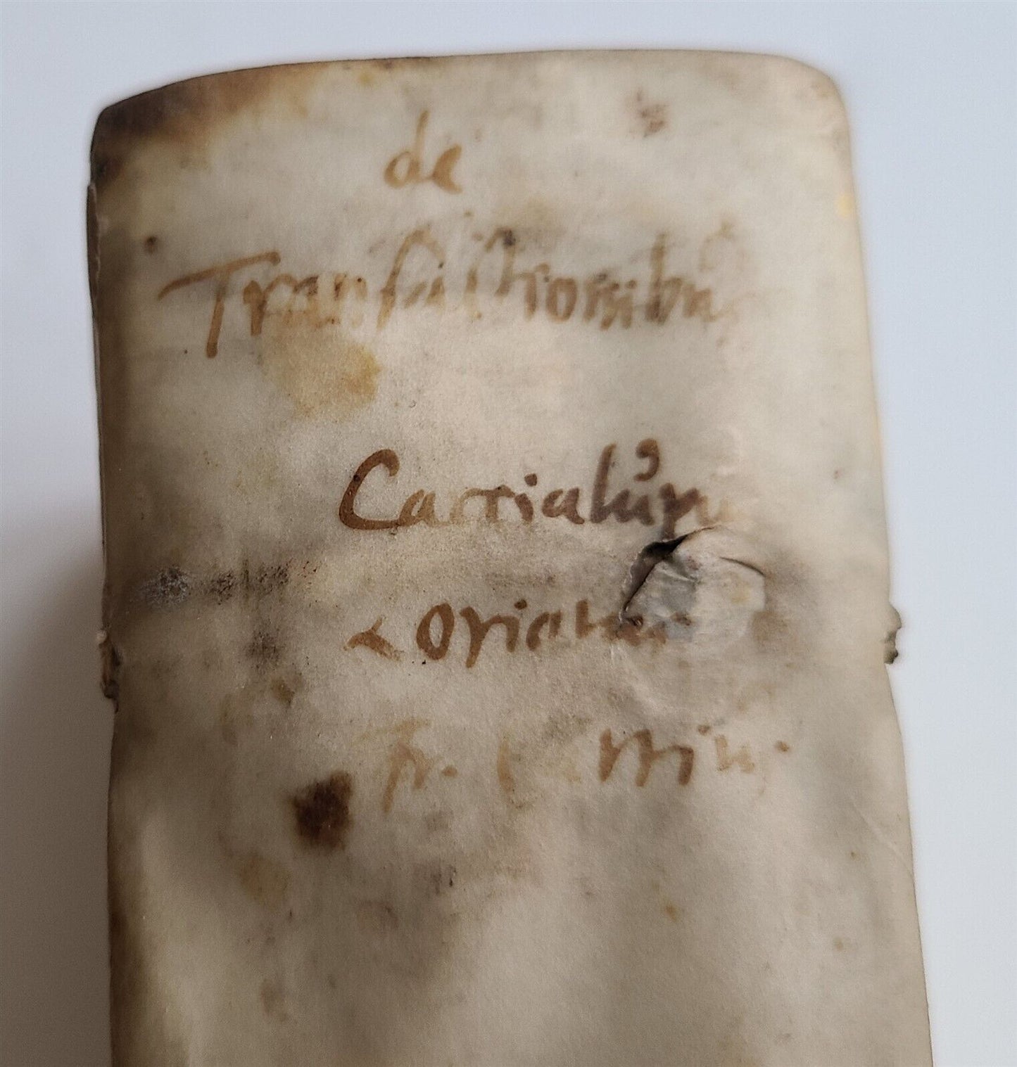 1586 LAW BOOK Tractatuum & Commentariorum de Transactionibus antique VELLUM