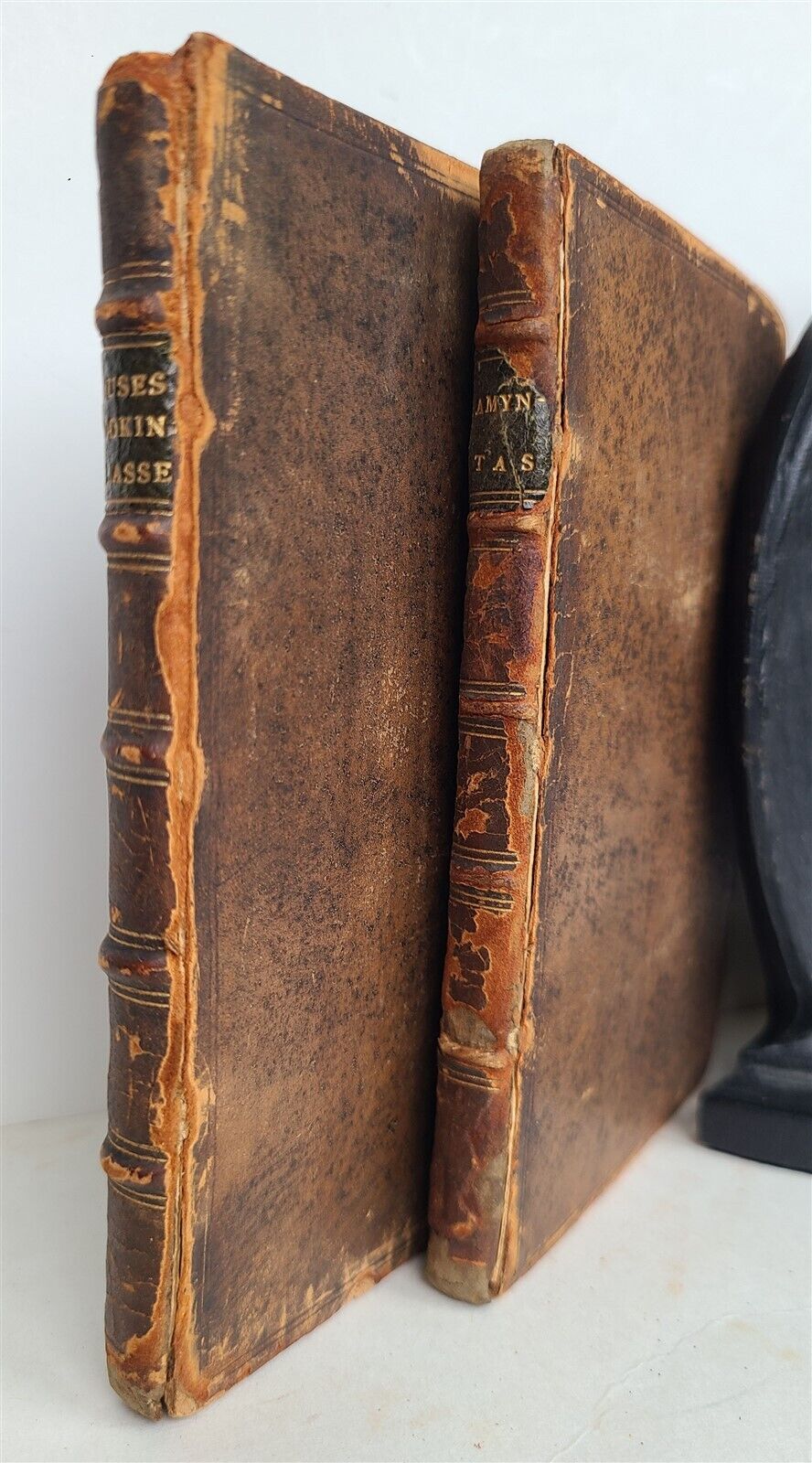 1640 POETRY in ENGLISH 2 VOLUMES antique Muses Looking-Glasse & Amyntas