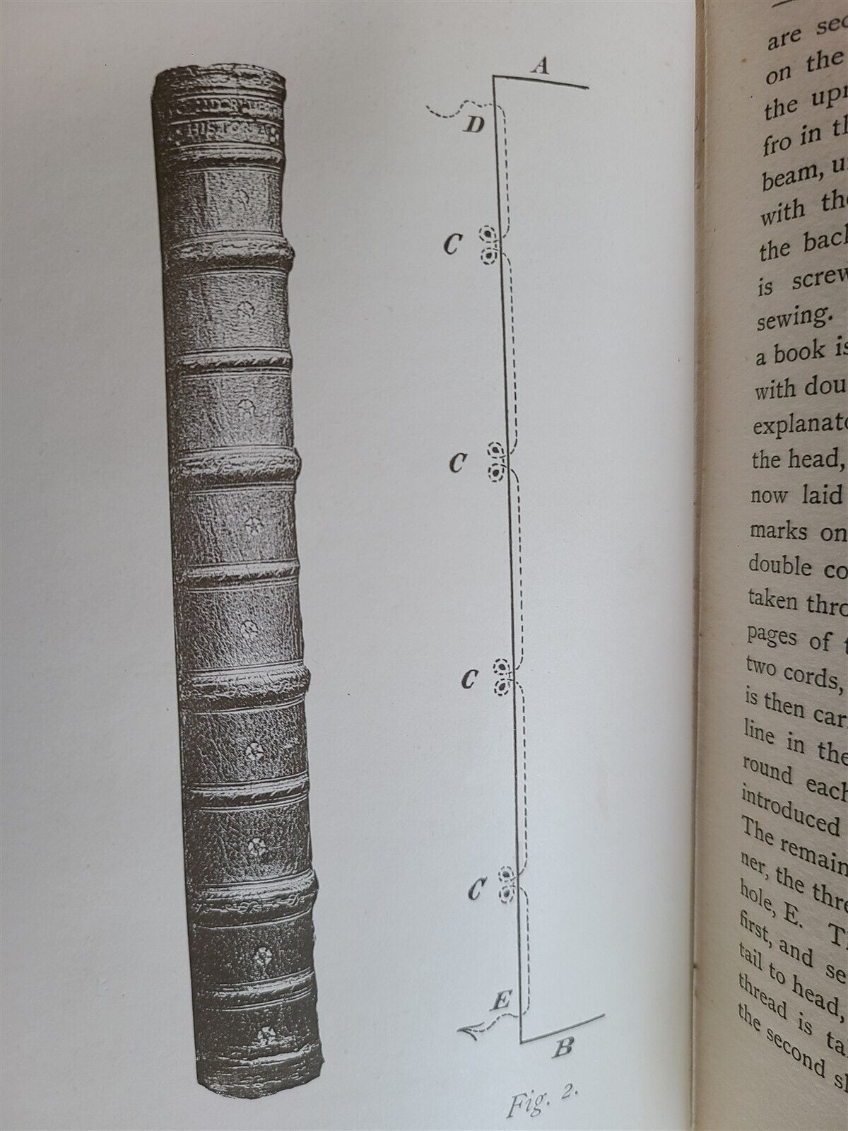 1894 THE BINDING OF THE BOOKS by HERBERT HORNE antique