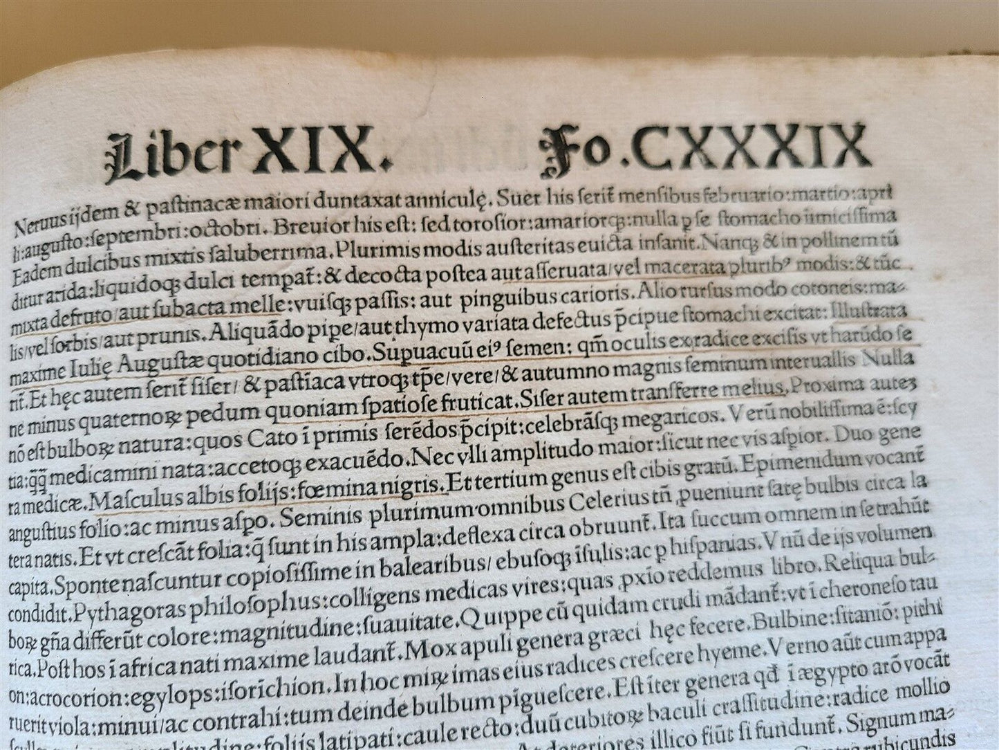 1514 PLINY THE YOUNGER F. Regnault POST-INCUNABULA antique NATURAL HISTORY rare